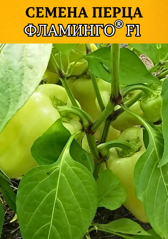 Фламинго F1 семена сладкого перца