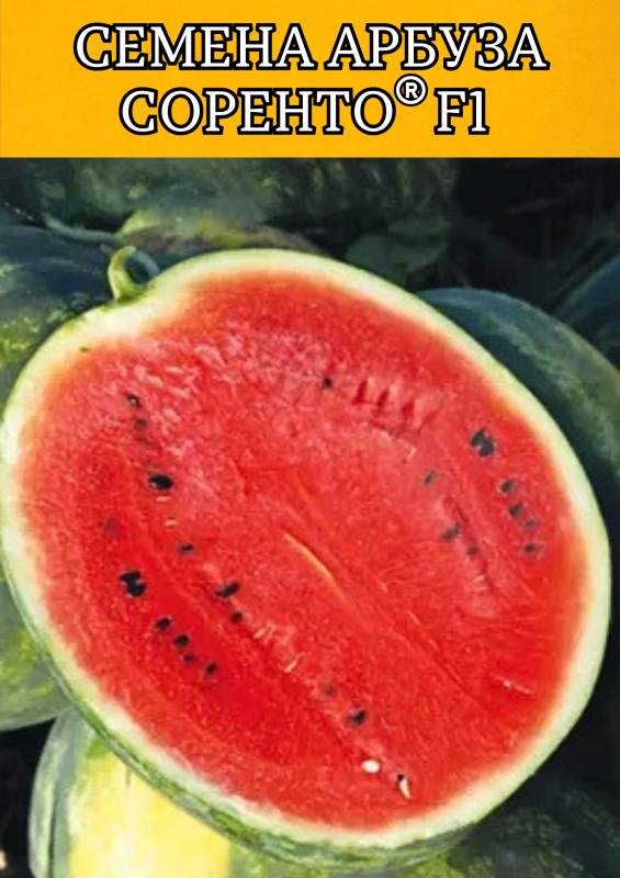 Соренто F1 1000 штук семена арбуза