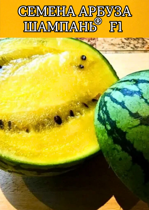 Шампань F1 семена арбуза
