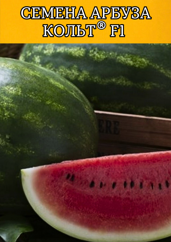 Кольт F1 семена арбуза
