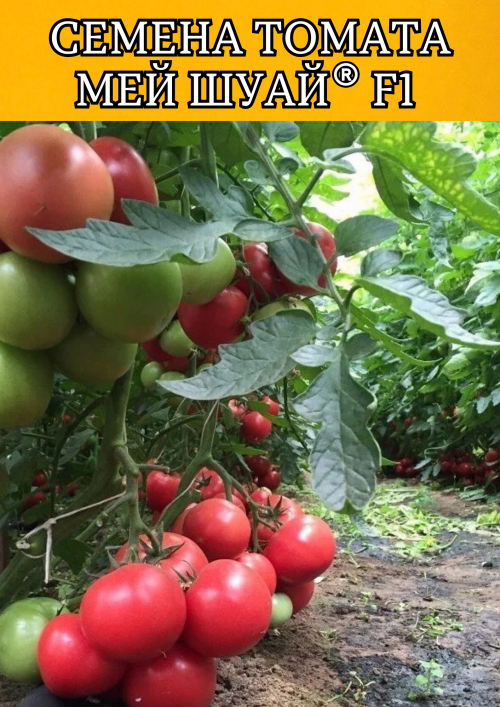 Мей Шуай F1 семена розового томата