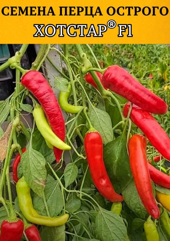 Хотстар F1 250 штук семена острого перца
