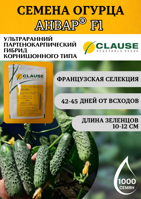 Анвар F1 1000 штук семена огурца