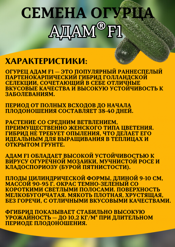 Адам F1 семена огурца