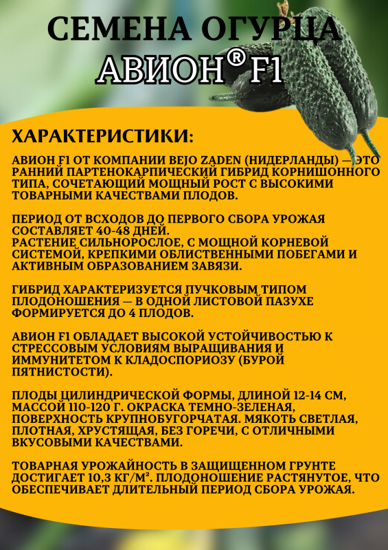 Авион F1 семена огурца