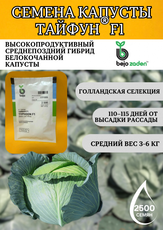Тайфун F1 2500 штук семена капусты