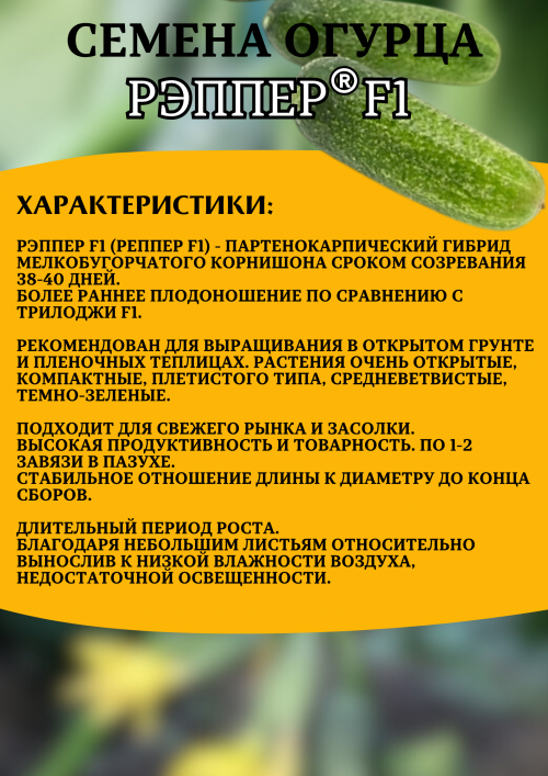 Рэппер F1 семена огурца