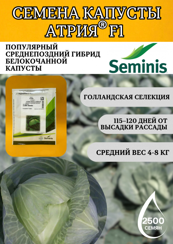 Атрия F1 семена капусты белокочанной 2500 штук