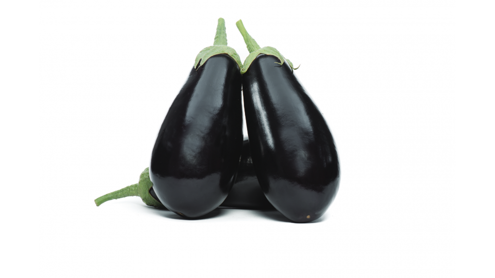 Визир F1 семена баклажана 500 штук