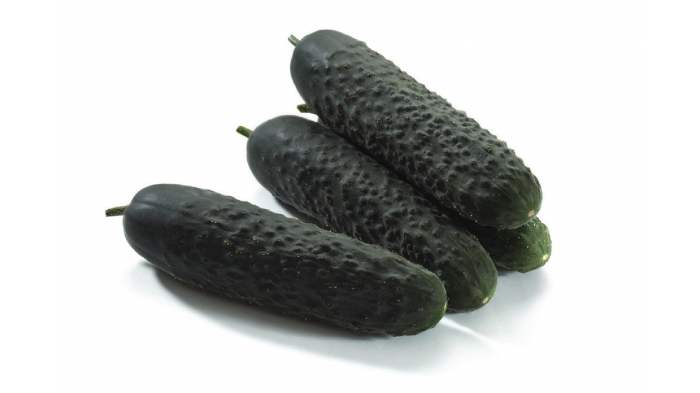 175 F1 огурец 500 семян