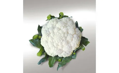 Ванза F1 семена цветной капусты