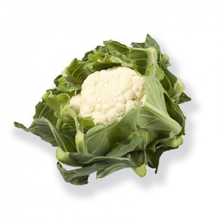 Пруденция F1 семена цветной капусты