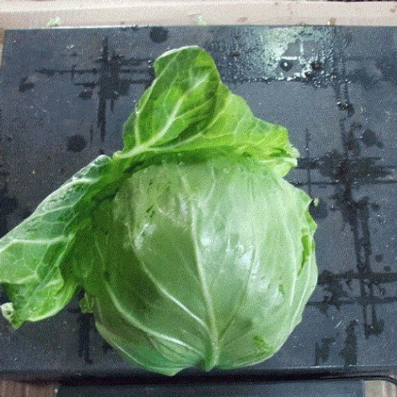 Пандион F1 семена белокочанной капусты 2500 штук