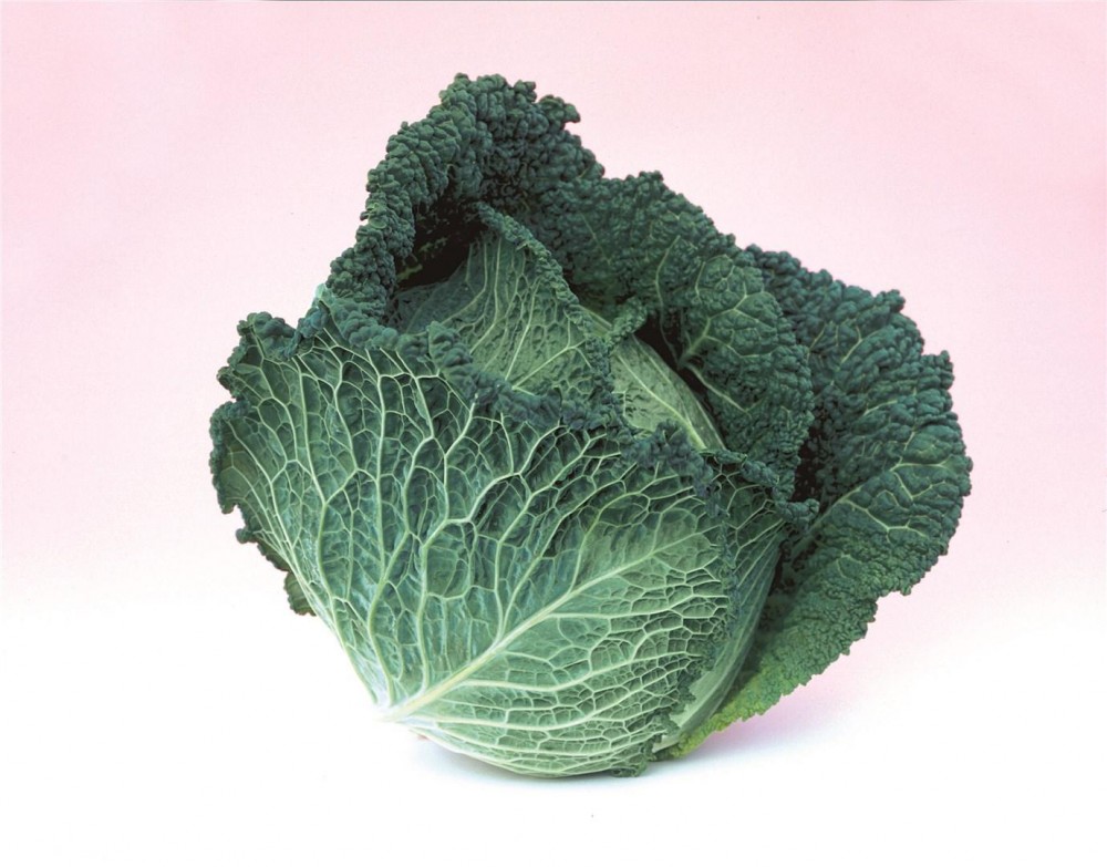 Оваса F1 семена савойской капусты 2500 штук