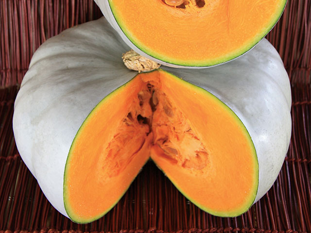 Нельсон F1 тыква 500 семян