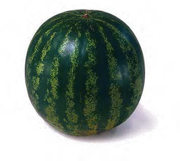 Кримстар F1 арбуз 1000 семян