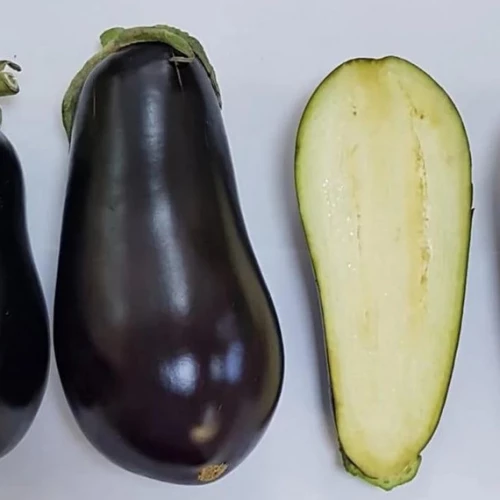 Навал F1 баклажан 1000 семян