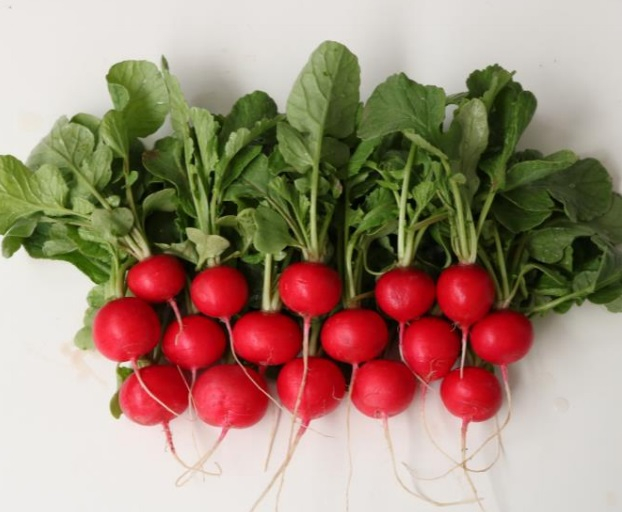 Атолл F1 редис 10 000 семян