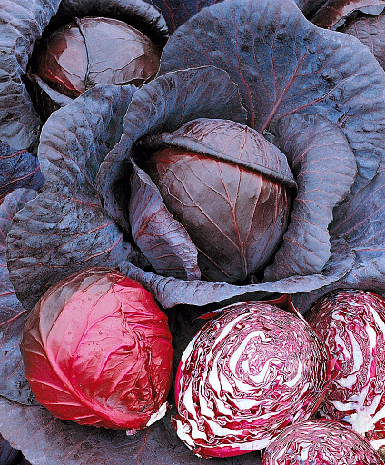 AS 4012 F1 капуста краснокочанная 2500 семян